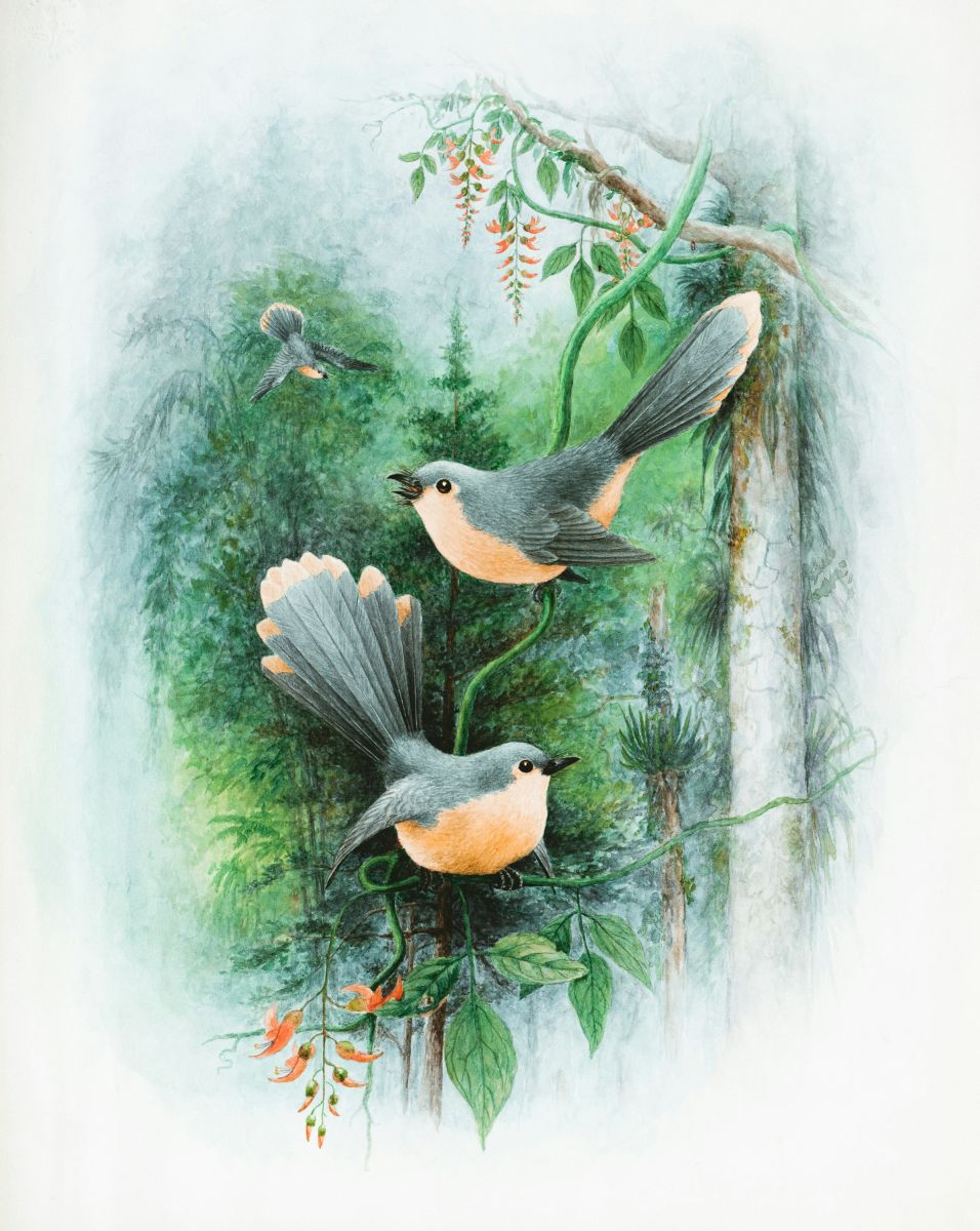 Water Color Painting
